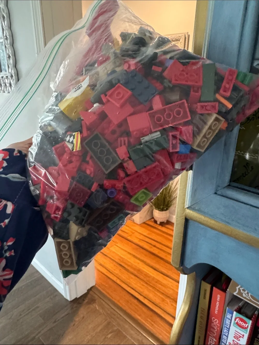 Gallon bag Red Building Block Set - Kids Construction Bricks